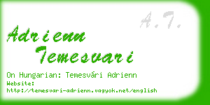 adrienn temesvari business card
